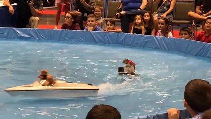 شاهد: "تويغي" السنجاب المتزلج يستقيل بعد أربعين عاماً من العروض