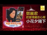 邓丽君 Teresa Teng - 小花夕陽下 Xiao Hua Xi Yang Xia (Original Music Audio)