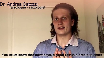 Raiz Tutorial Andrea Catozzi Fr (english subtitled)