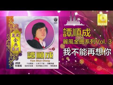 譚順成 Tam Soon Chern - 我不能再想你 Wo Bu Neng Zai Xiang Ni (Original Music Audio)
