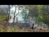Fier/ Zjarri te pylli i Semanit, digjen 2 hektarë me pisha. 4 zjarrfikëse 'luftë' me flakët
