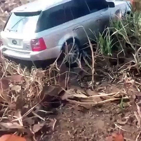 funny video  a toy car