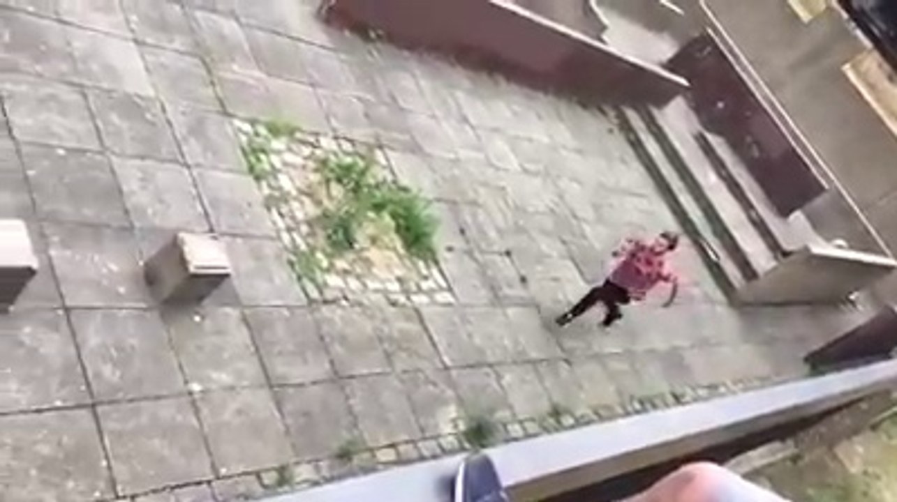best instant video