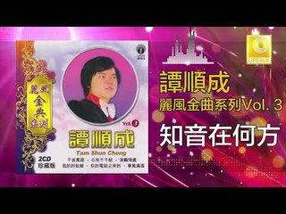 譚順成 Tam Soon Chern - 知音在何方 Zhi Yin Zai He Fang (Original Music Audio)