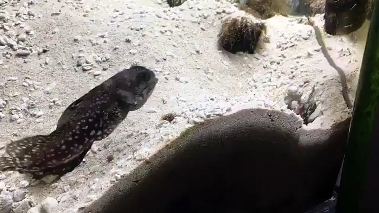 Problems are every where even in Deep Sea