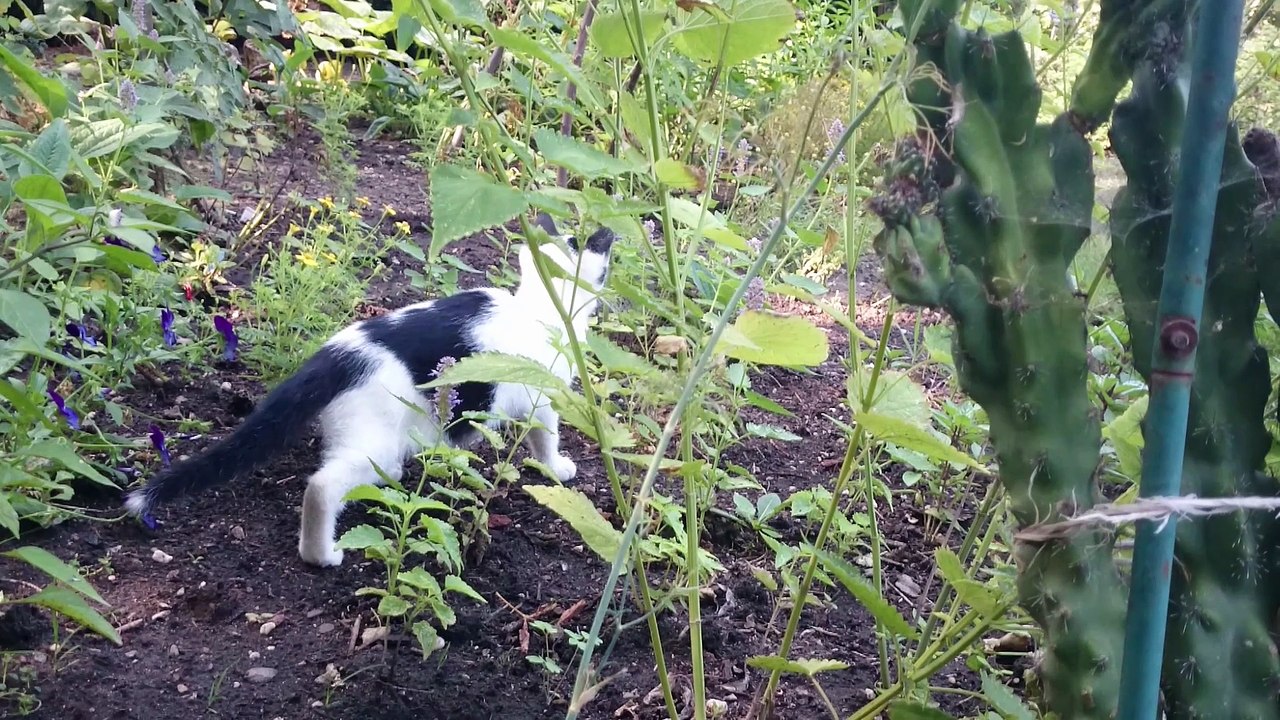 Garten-Freude
