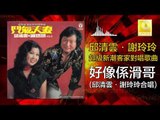 邱清雲 謝玲玲 Chew Chin Yuin Mary Xie -  好像係滑哥 Hao Xiang Xi Hua Ge (Original Music Audio)