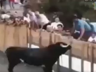 Sosyal medya bayramda bu videoları paylaşıyor