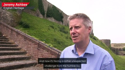 English castles face a growing threat from weeds