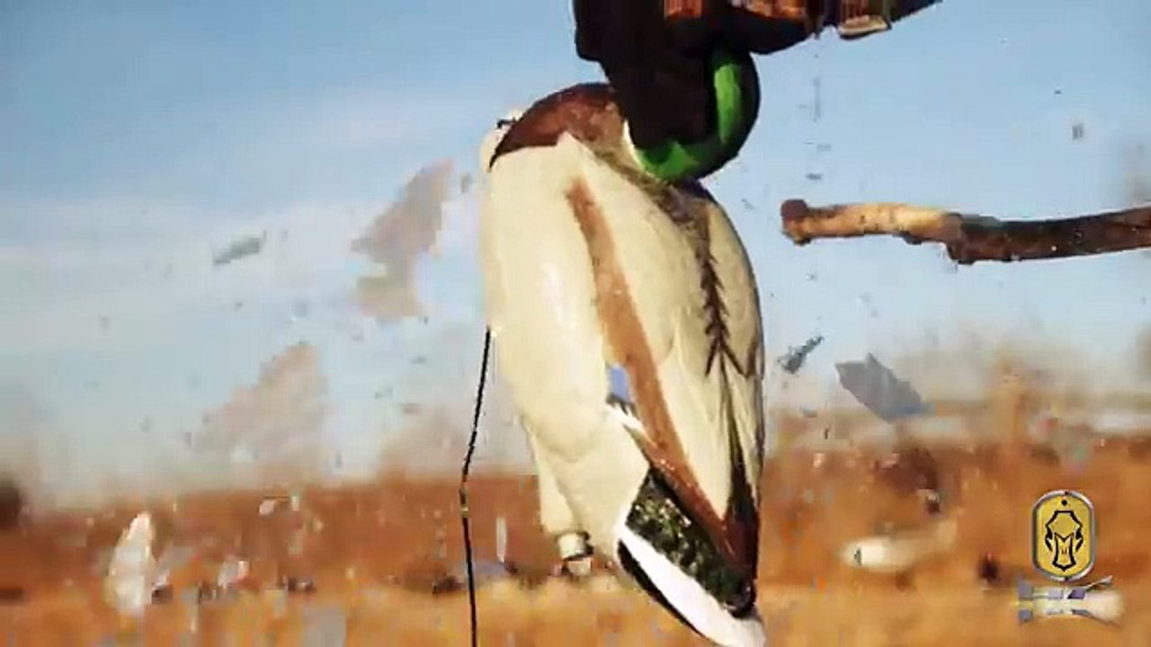 Duck Hunting Public Land: Stacked Against Us Fowled Reality