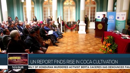 The UN Publishes Report On Coca Cultivation In Bolivia