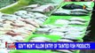 Government won't allow entry of tainted fish products