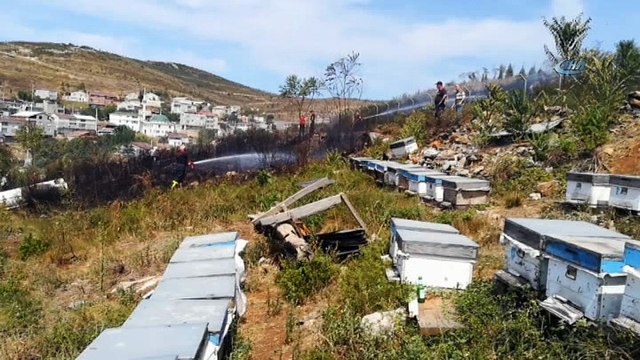 Evlerin yanındaki boş arazide çıkan yangın paniğe neden oldu