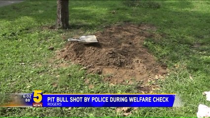 Man Says Police Officers Shot His Dog For No Reason