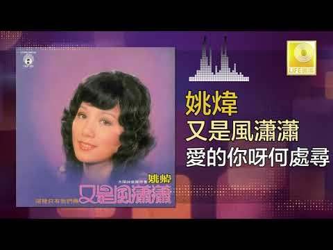 姚煒 Yao Wei - 愛的你呀何處尋 Ai De Ni Ya He Chu Xun (Original Music Audio)