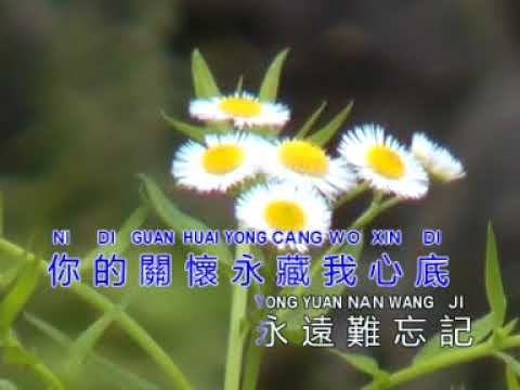 李逸 Lee Yee - 永遠難忘記 Yong Yuan Nan Wang Ji (Official Music Video)