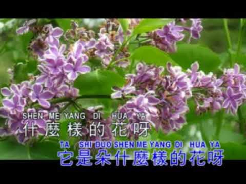 李逸 謝玲玲 Lee Yee Mary Sia - 紫丁香 Zi Ding Xiang (Official Music Video)