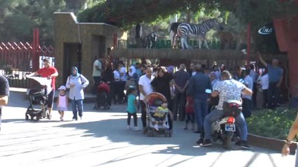 Bayram Tatilinde Gaziantep Hayvanat Bahçesi'ne Yoğun İlgi