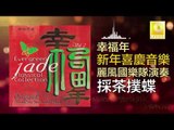 麗風國樂隊 Li Feng Guo Yue Dui - 採茶撲蝶 Cai Cha Pu Die (Original Music Audio)