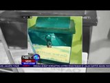 Pencuri Kotak Amal Terekam CCTV-NET24