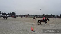 La Province - Sports équestres - Extrait des championnats du monde par équipes des Pony Games à Ghlin (1)