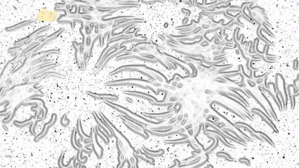 Could Baby Poop Bacteria Replace Greek Yogurt as Your Daily Probiotic?