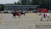 La Province - Sports équestres - Extrait des championnats du monde par équipes des Pony Games à Ghlin (2)