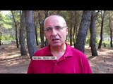 Zjarr në pyllin e Semanit - Top Channel Albania - News - Lajme