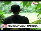 29 Hektare Ladang Ganja Ditemukan di Aceh Besar