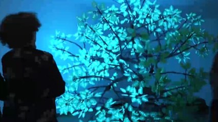 Tecnologia, performance e biodesign: conheça o trabalho do Studio Drift