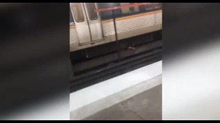 Girl crawls out from under train after being pushed onto tracks