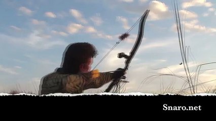 Bowhunting doves with a Snaro