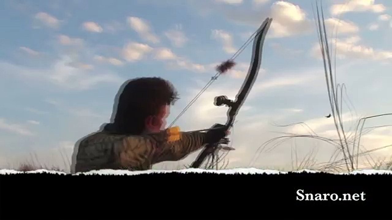 Bowhunting doves with a Snaro