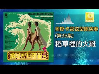 奧斯卡 Oscar -   稻草裡的火雞 Dao Cao Li De Huo Ji (Original Music Audio)