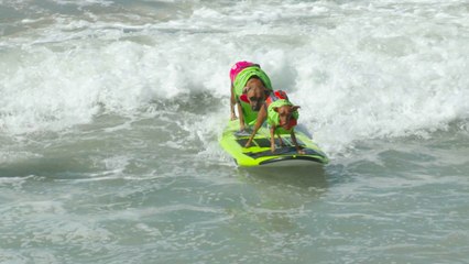 These Surf Pups Know How to Shred!