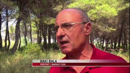 Zjarrit në pyllin e Semanit - News, Lajme - Vizion Plus