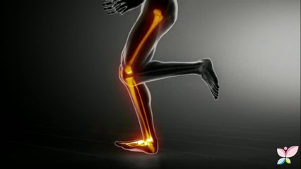 La articulación de la rodilla