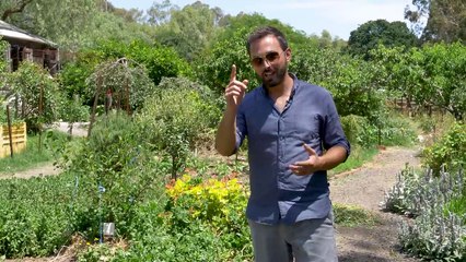 Is Our Food Losing Nutritional Value?