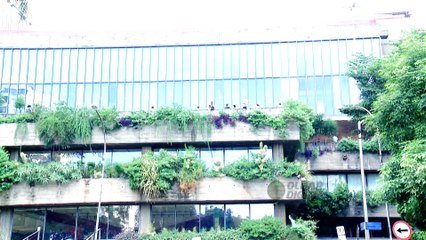 Como a tecnologia está mudando para melhor o ambiente de trabalho