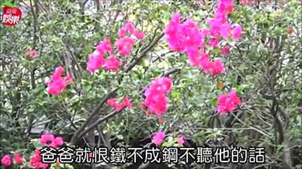 「蔡振南：朋友沒有義務聽你唱哭調」長期服用憂鬱症藥物長達25！　【專訪】一耳失聰一耳重聽　蔡振南自嘲走到「北風北」  　下載《蘋果》APP，隨時掌握天下事   #蔡振南 蔡振南