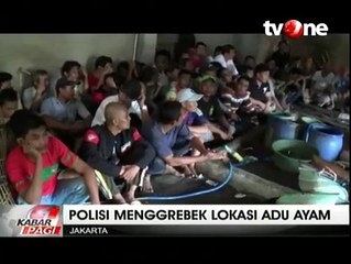 Polisi Menggerebek Lokasi Judi Sabung Ayam di Kawasan Senen