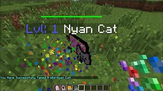 Minecraft: Nyan Cat Mod