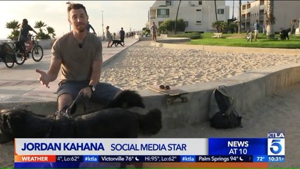 Man Quits Job to Travel with Dogs He Rescued on Road Trip