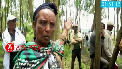 Ethiopia: አስደንጋጭ የጎርፍ አደጋ በአዲስ አበባ ቃሊቲ አቃቂ አከባቢ ተከሰተ!!