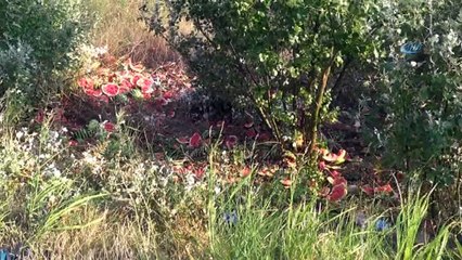 Silivri’de bir araç takla attı: 1 ölü, 2 yaralı