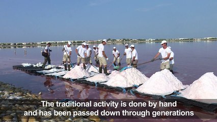Fleur de sel harvesters keep tradition alive in southern France