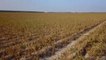 €340 million to help German farmers after poor crop harvests