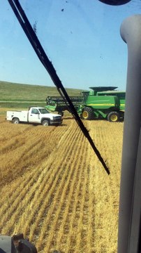 Sentimental Moment Shared Between Man and Elderly Father