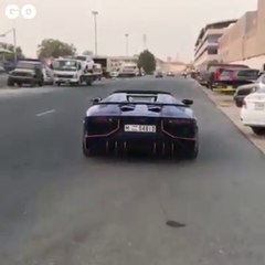 Elle passe ses journées à essayer des voitures magnifiques