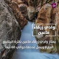 7 أماكن طبيعية في الأردن يمكنك زيارتها خلال عطلة العيد .. تعرّف عليها